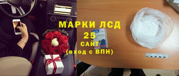 дмт Бородино