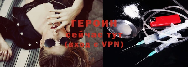 дмт Бородино