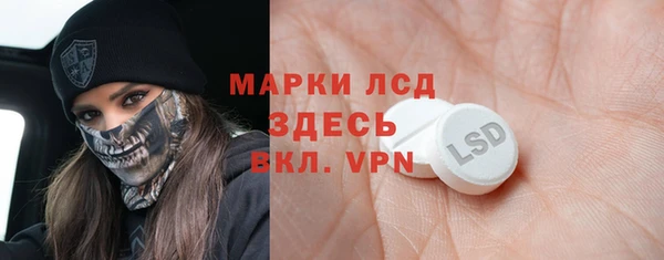 дмт Бородино