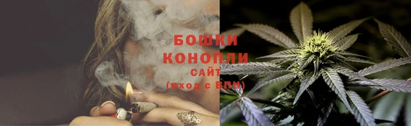 дмт Бородино