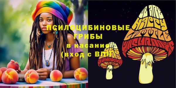 дмт Бородино