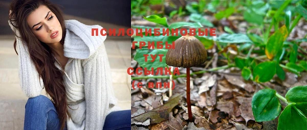 дмт Бородино