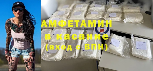 дмт Бородино