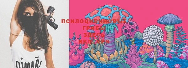 дмт Бородино